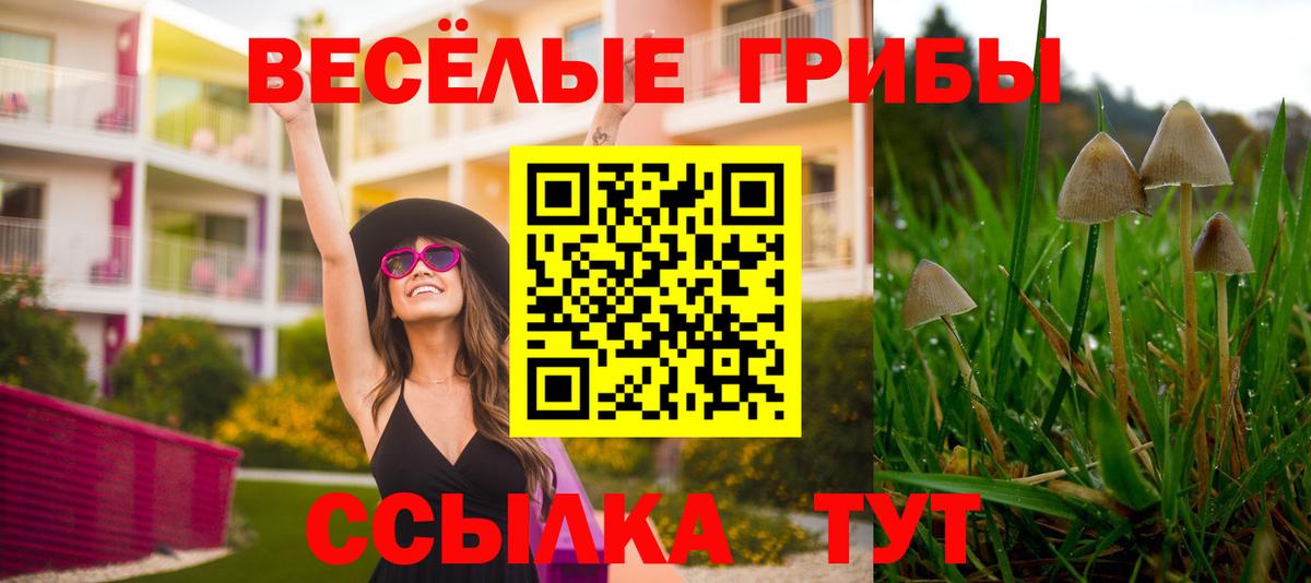 Галлюциногенные грибы GOLDEN TEACHER  Вход с VPN  Владикавказ 