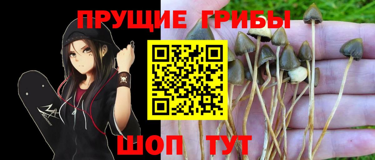 Псилоцибиновые грибы MAGIC MUSHROOMS Владикавказ