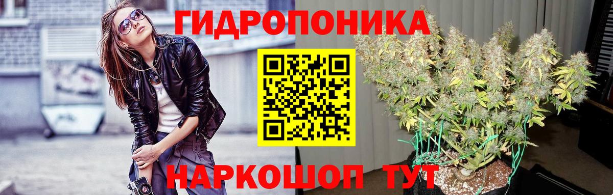 Шишки марихуана сатива  Бошки марихуана LSD WEED  Канабис ГИДРОПОН  Вход с VPN  Бошки Шишки White Widow  Владикавказ 